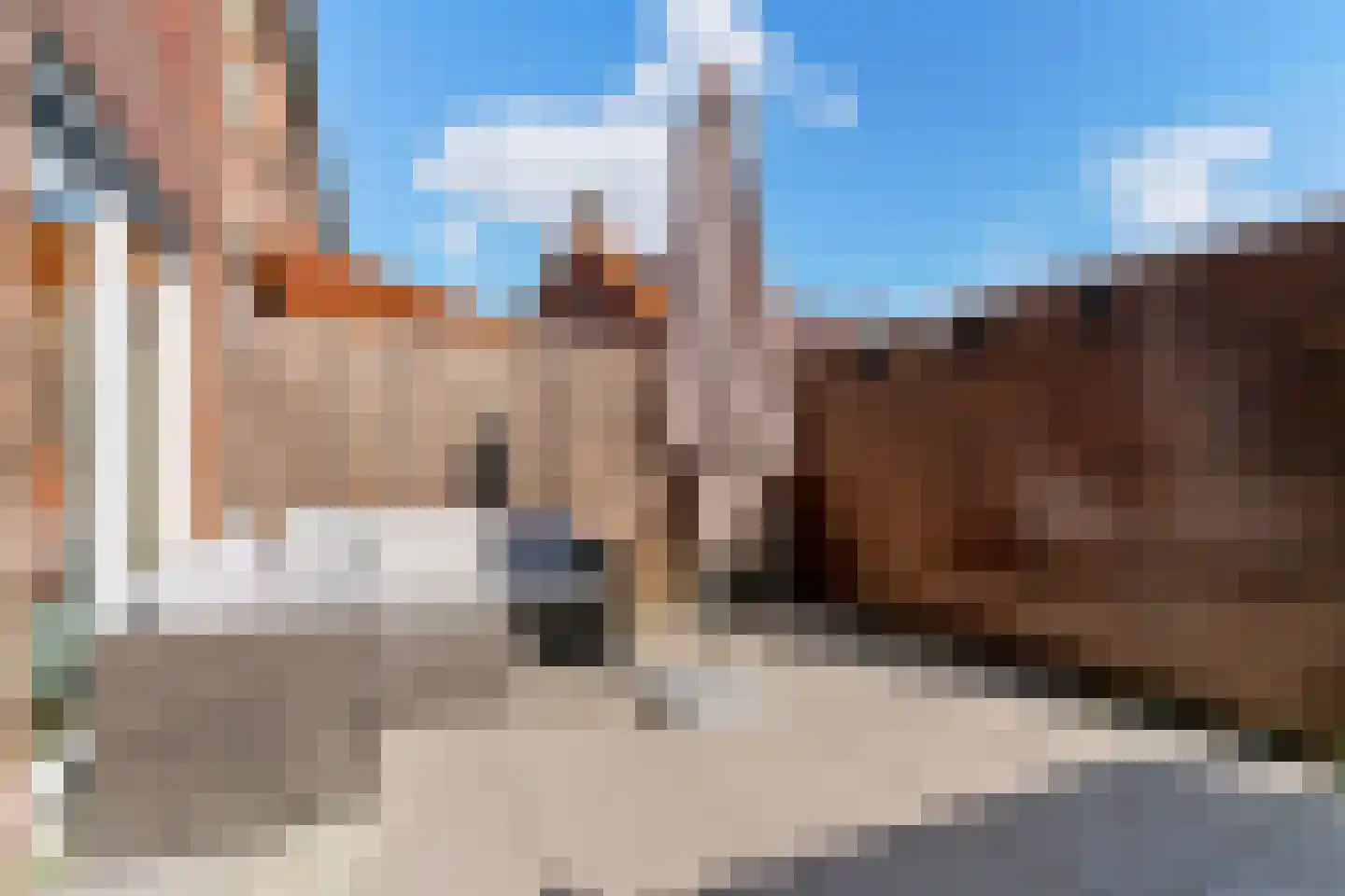 Weidevogellaan 81 Den Haag thumbnail 24