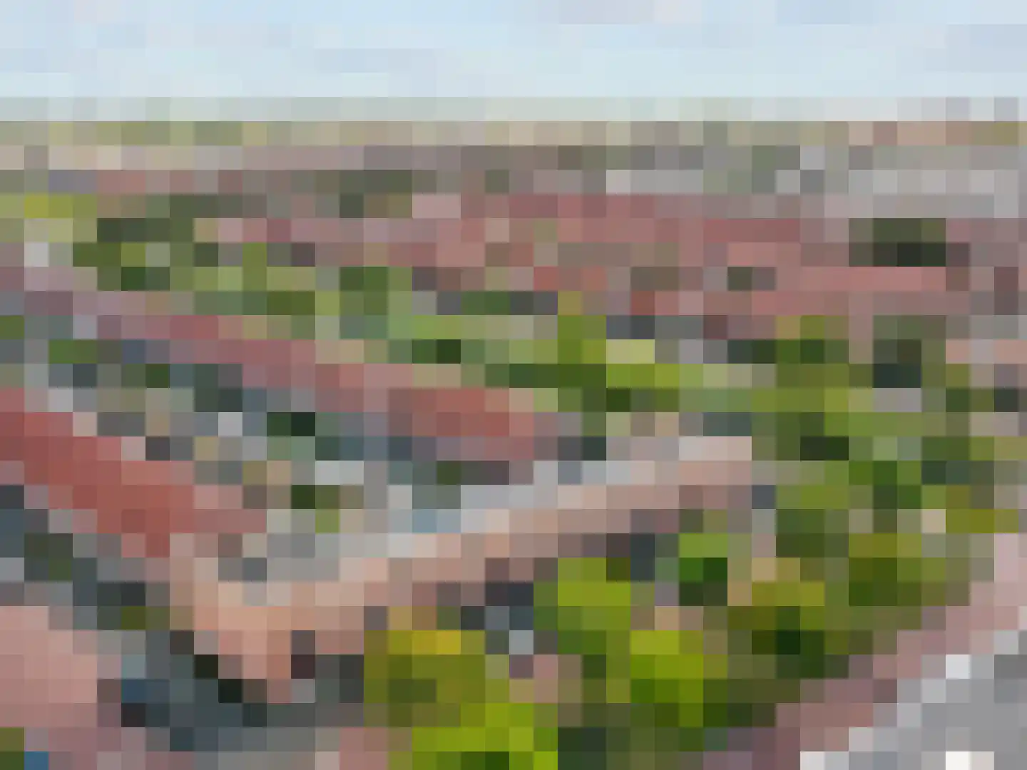 Weidevogellaan 81 Den Haag thumbnail 28