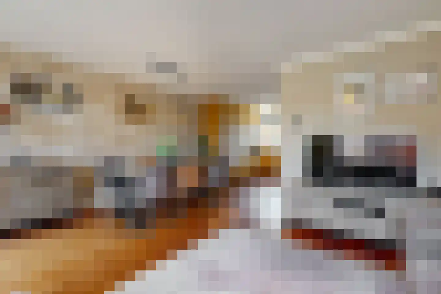 Weidevogellaan 81 Den Haag thumbnail 8