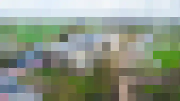 Weidewachter 25 Hasselt thumbnail 10