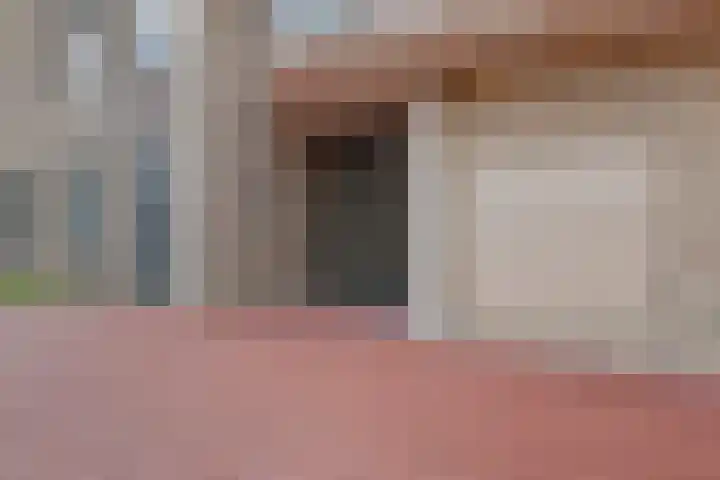 Weidewachter 25 Hasselt thumbnail 12