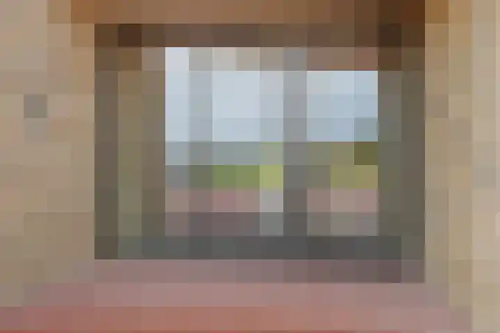 Weidewachter 25 Hasselt thumbnail 13