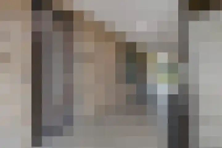 Weidewachter 25 Hasselt thumbnail 14