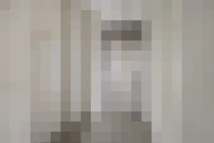 Weidewachter 25 Hasselt thumbnail 16
