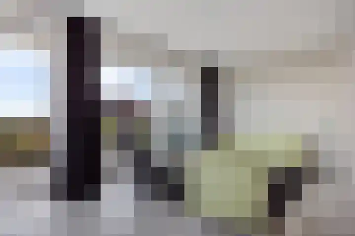 Weidewachter 25 Hasselt thumbnail 18