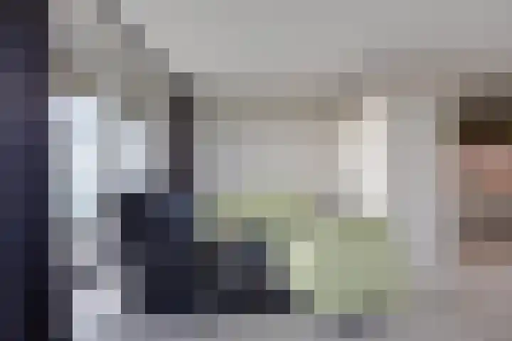 Weidewachter 25 Hasselt thumbnail 19