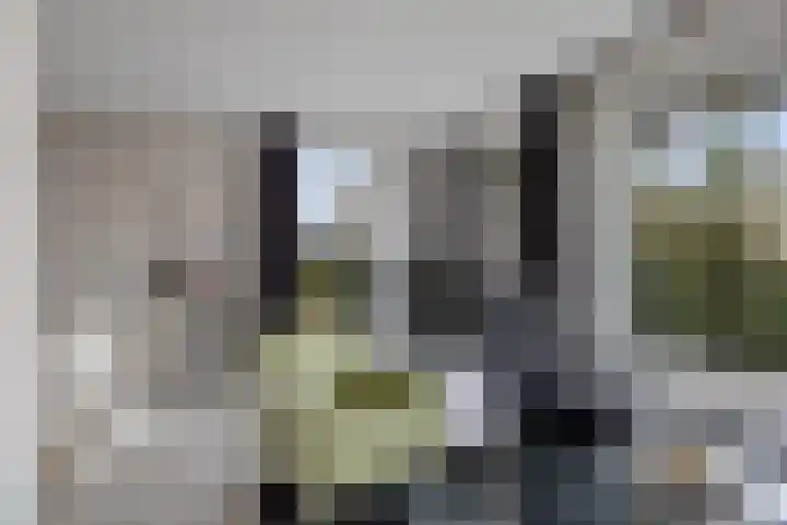 Weidewachter 25 Hasselt thumbnail 20