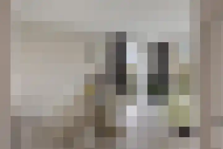 Weidewachter 25 Hasselt thumbnail 22