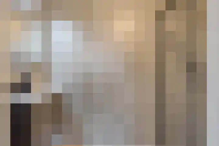 Weidewachter 25 Hasselt thumbnail 28