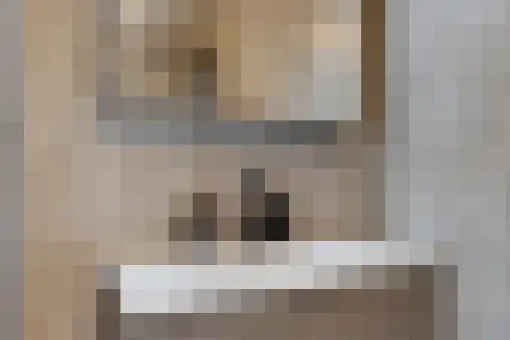 Weidewachter 25 Hasselt thumbnail 29