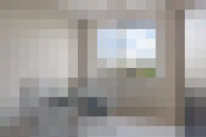 Weidewachter 25 Hasselt thumbnail 30