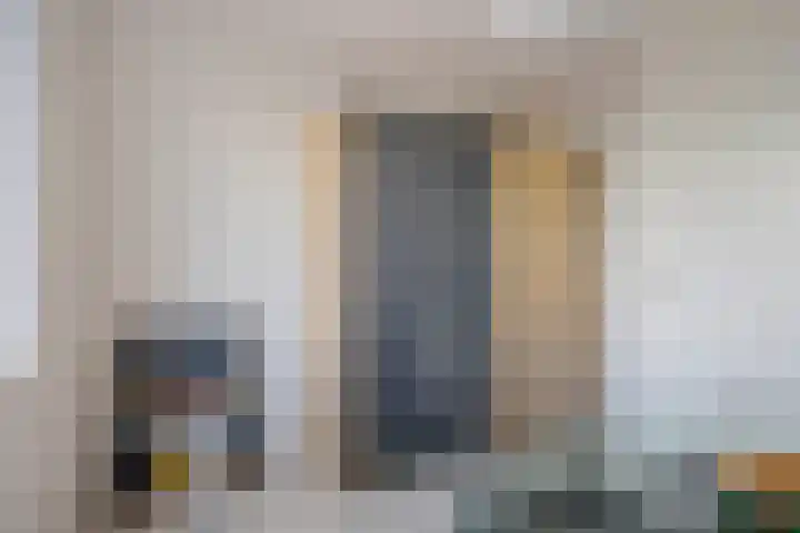Weidewachter 25 Hasselt thumbnail 31