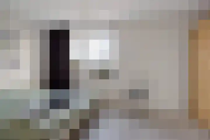 Weidewachter 25 Hasselt thumbnail 32