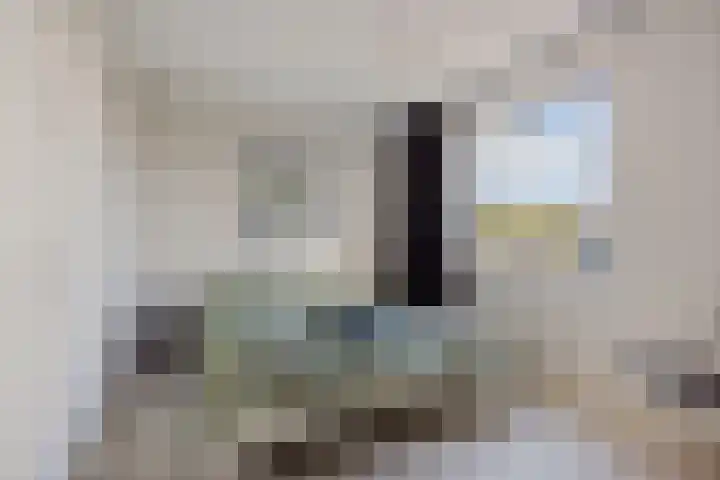 Weidewachter 25 Hasselt thumbnail 33