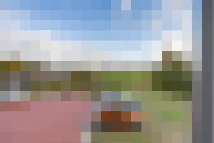 Weidewachter 25 Hasselt thumbnail 35