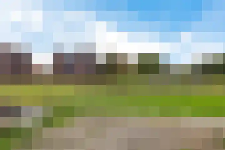 Weidewachter 25 Hasselt thumbnail 36