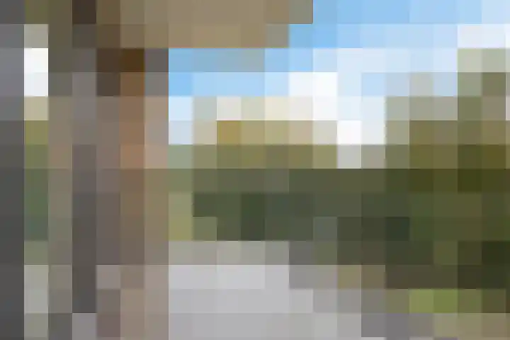 Weidewachter 25 Hasselt thumbnail 38