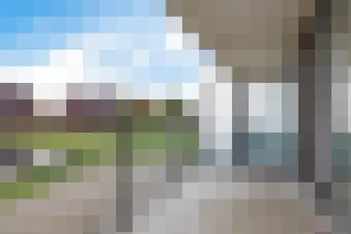 Weidewachter 25 Hasselt thumbnail 39