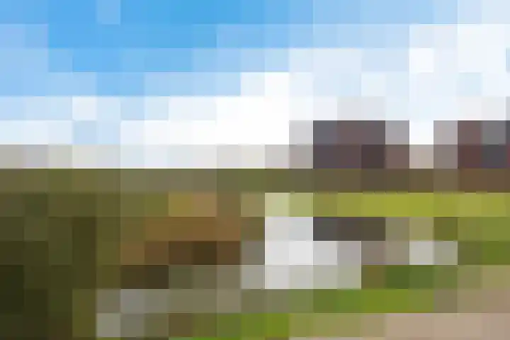 Weidewachter 25 Hasselt thumbnail 41