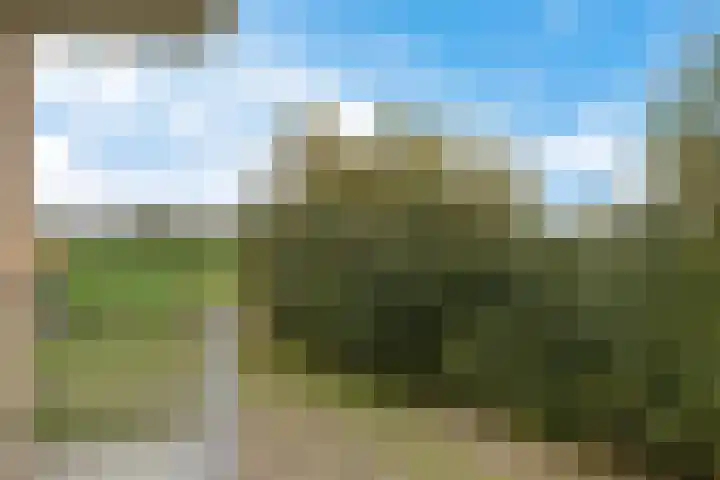 Weidewachter 25 Hasselt thumbnail 42