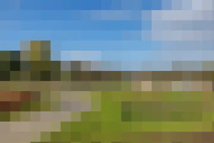 Weidewachter 25 Hasselt thumbnail 7