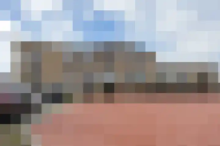 Weidewachter 25 Hasselt thumbnail 8