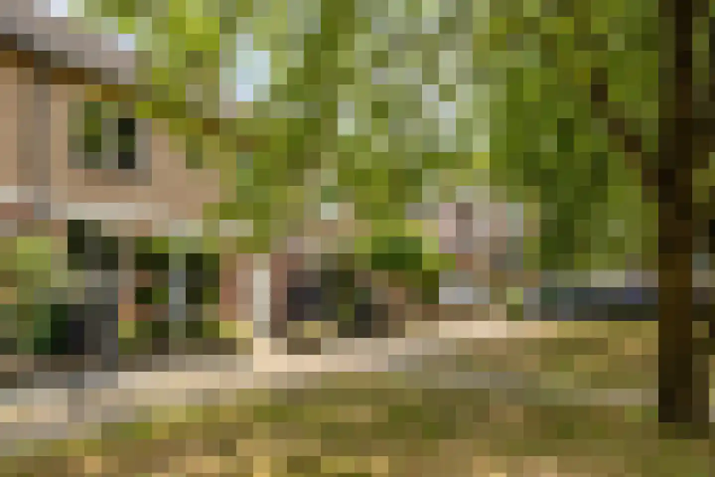 Weideweg 140 Hengelo thumbnail 7