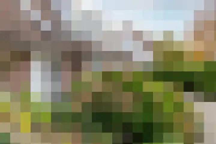 Weidezicht 2 Middenbeemster thumbnail 10