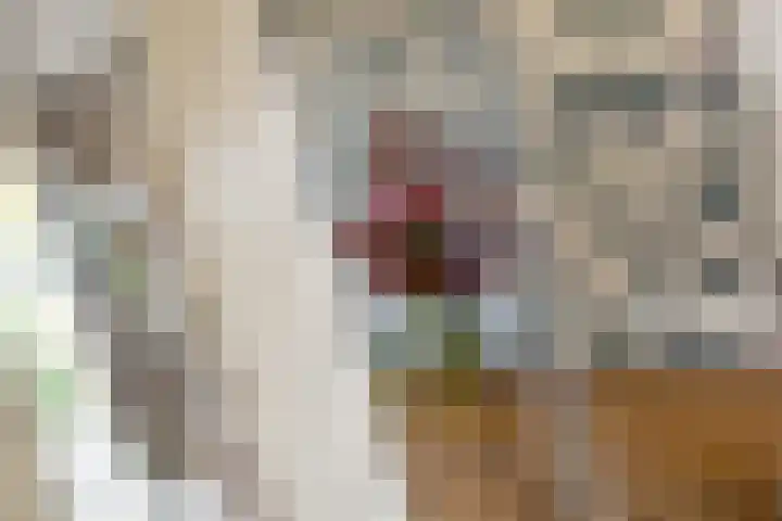 Weidezicht 2 Middenbeemster thumbnail 15