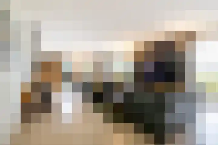 Weidezicht 2 Middenbeemster thumbnail 16