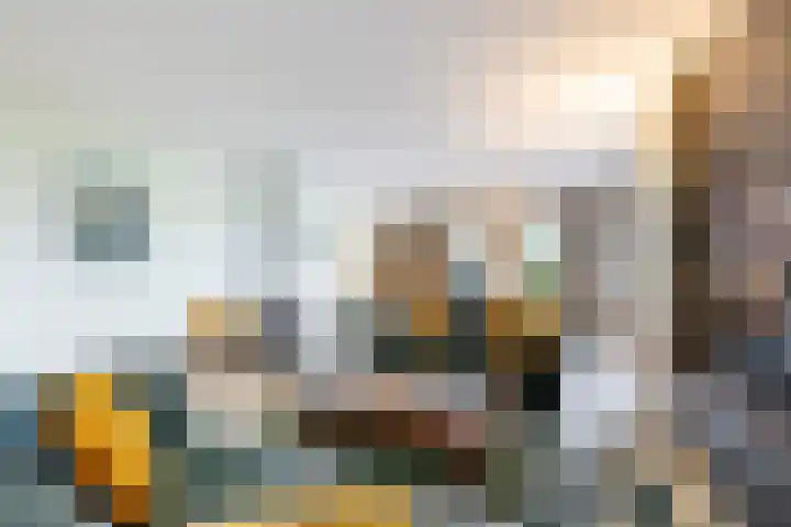 Weidezicht 2 Middenbeemster thumbnail 18