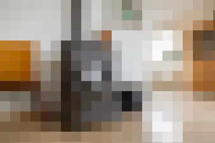 Weidezicht 2 Middenbeemster thumbnail 20