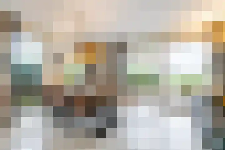 Weidezicht 2 Middenbeemster thumbnail 22