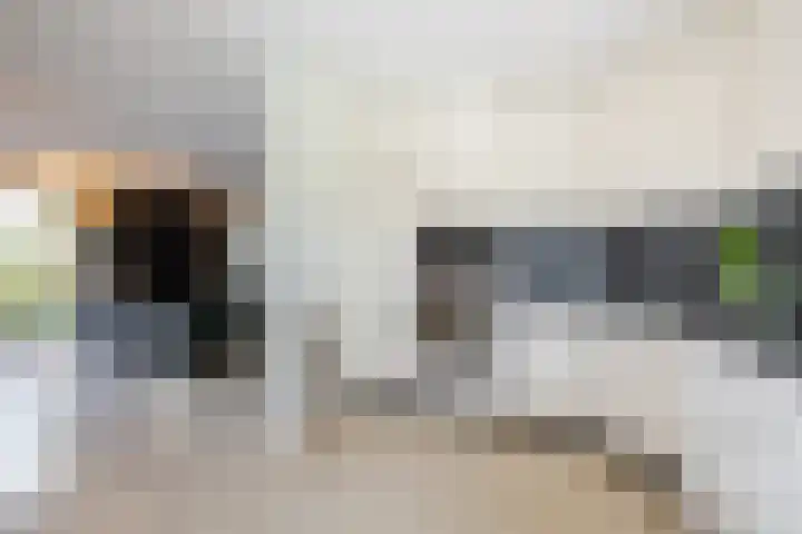 Weidezicht 2 Middenbeemster thumbnail 28