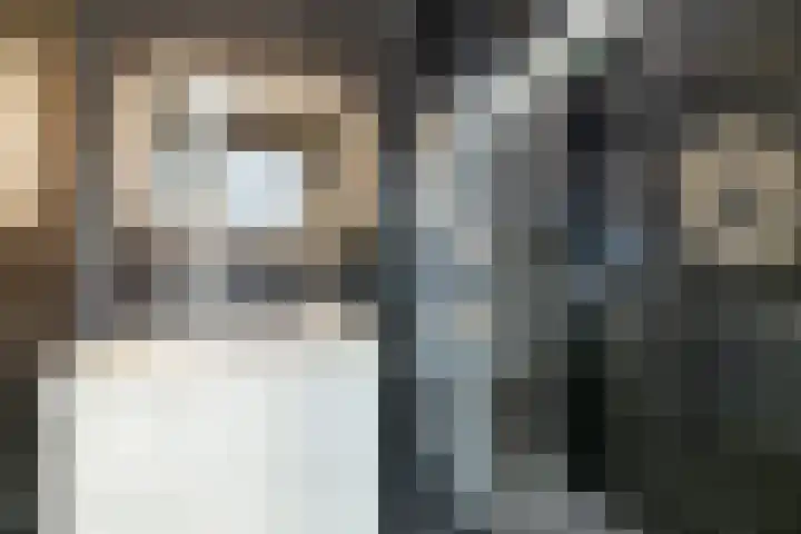 Weidezicht 2 Middenbeemster thumbnail 35