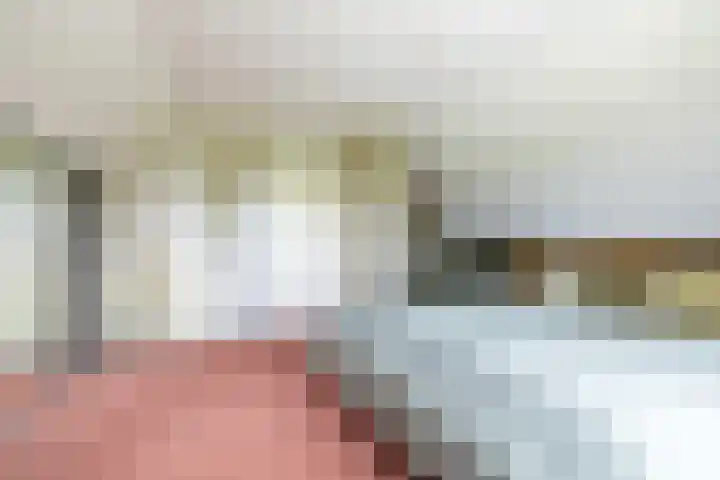Weidezicht 2 Middenbeemster thumbnail 41
