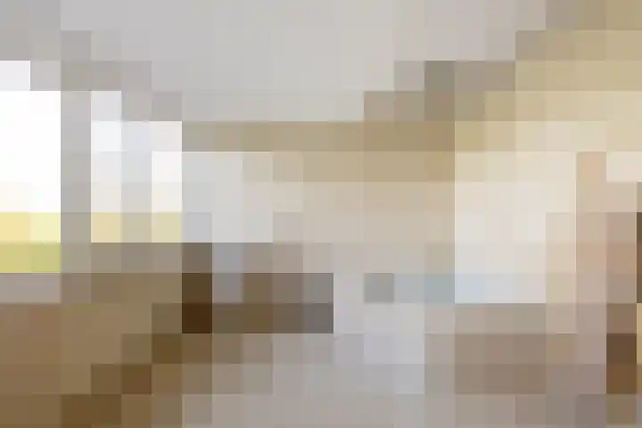 Weidezicht 2 Middenbeemster thumbnail 49