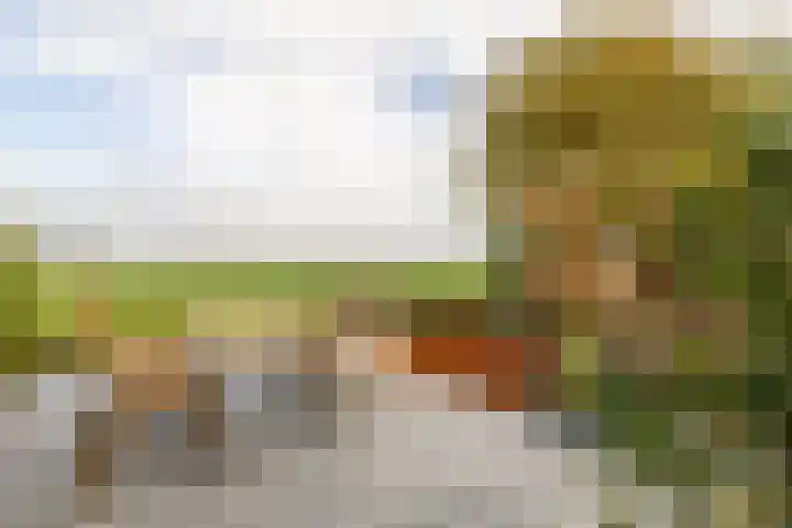 Weidezicht 2 Middenbeemster thumbnail 5