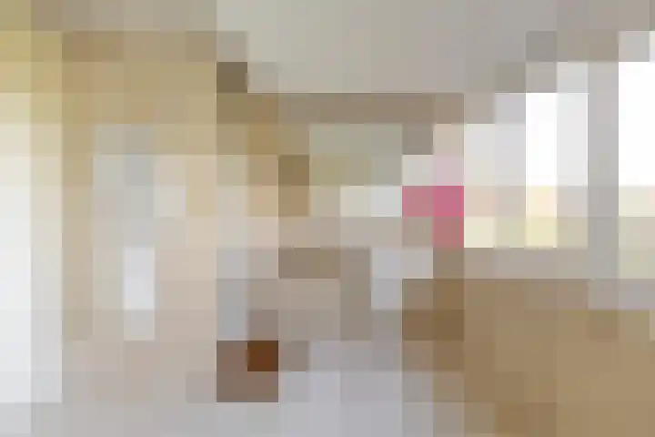Weidezicht 2 Middenbeemster thumbnail 50