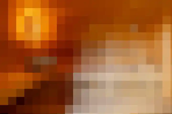 Weidezicht 2 Middenbeemster thumbnail 53