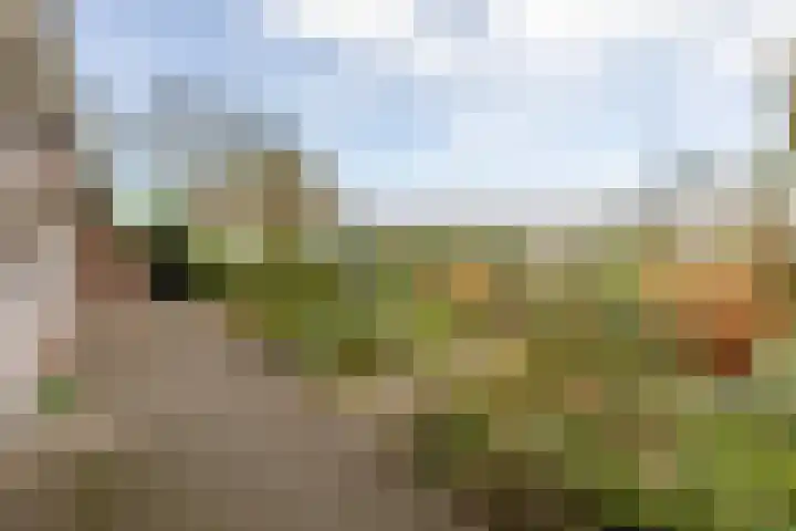 Weidezicht 2 Middenbeemster thumbnail 54