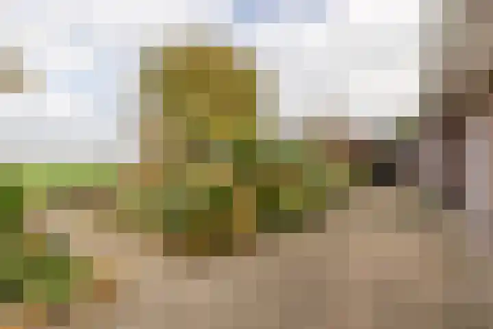 Weidezicht 2 Middenbeemster thumbnail 55
