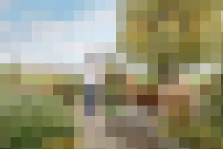 Weidezicht 2 Middenbeemster thumbnail 56