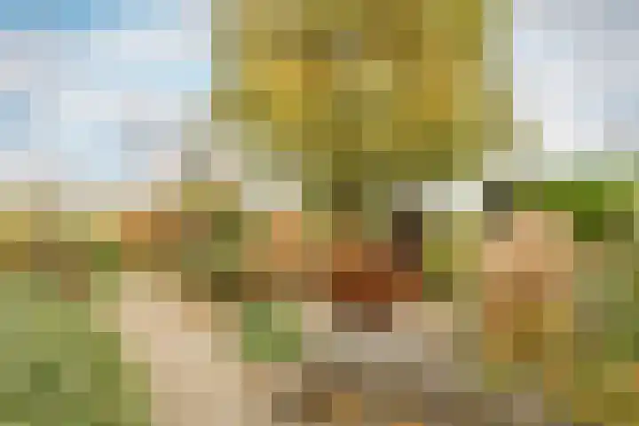 Weidezicht 2 Middenbeemster thumbnail 57