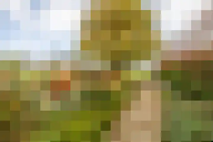 Weidezicht 2 Middenbeemster thumbnail 58