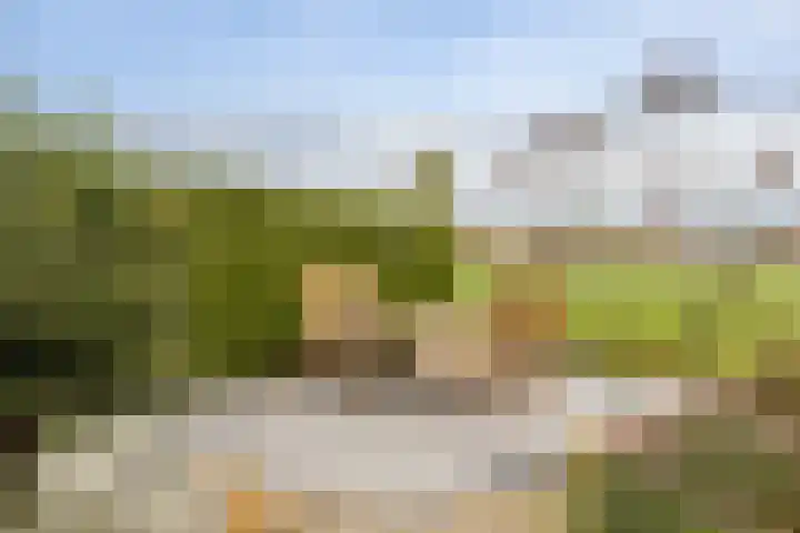 Weidezicht 2 Middenbeemster thumbnail 59