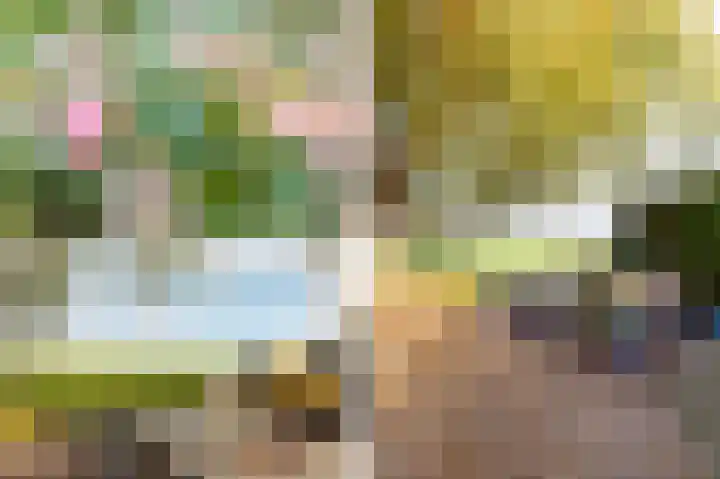 Weidezicht 2 Middenbeemster thumbnail 6
