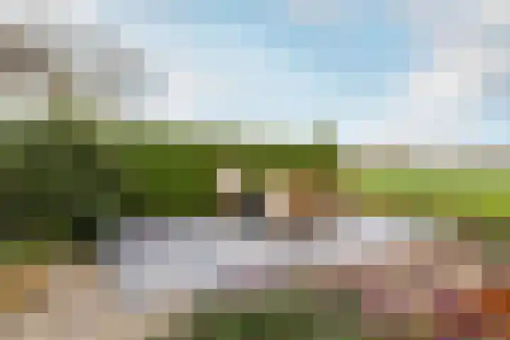 Weidezicht 2 Middenbeemster thumbnail 60