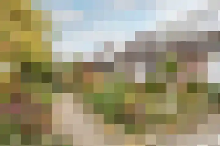 Weidezicht 2 Middenbeemster thumbnail 62