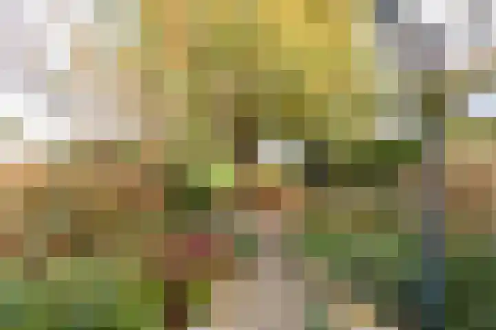 Weidezicht 2 Middenbeemster thumbnail 63